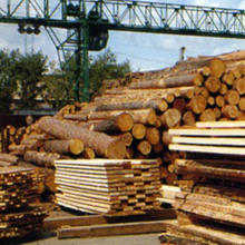 Деревообрабатывающие предприятия должны активнее осваивать новые рынки сбыта - заявил Мясникович.